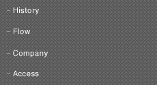History/Flow/Company/Access